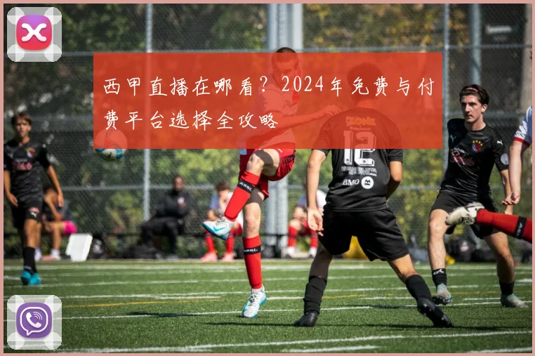 西甲直播在哪看？2024年免费与付费平台选择全攻略