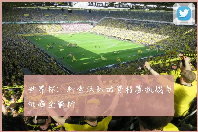 世界杯：科索沃队的资格赛挑战与机遇全解析